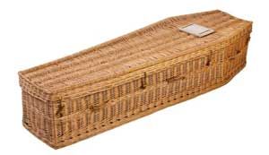 Traditional-willow